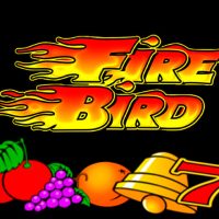 Fire Bird